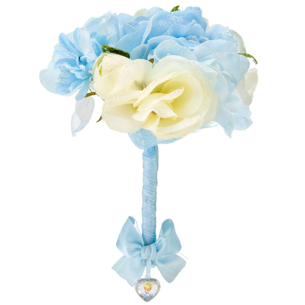 Disney Princess dress up: New items at the Disney Store