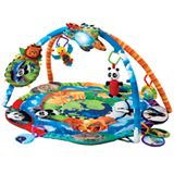 Baby Einstein&trade; Around the World Play Gym