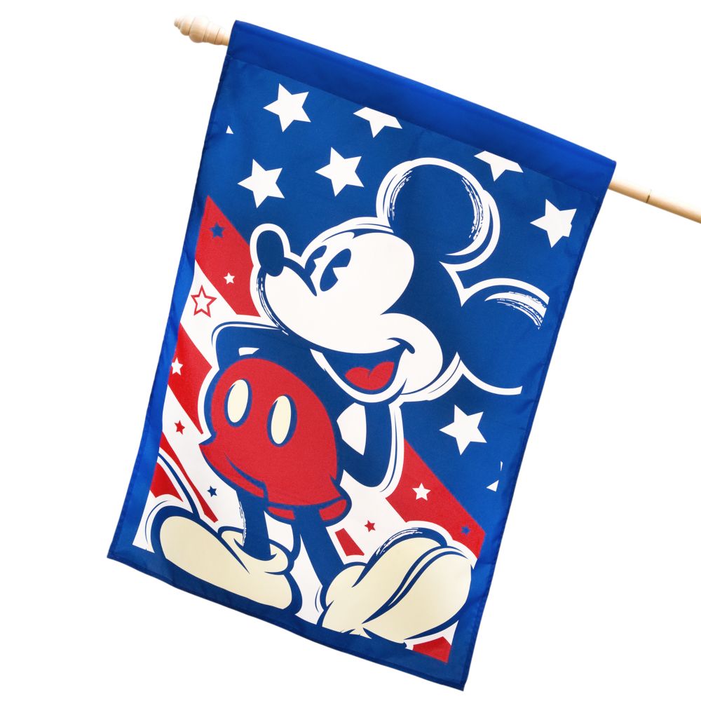Red, White and Mickey Mouse Flag