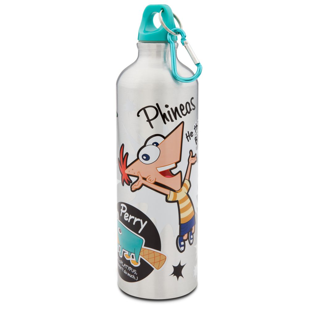 Phineas and Ferb Aluminum Water Bottle