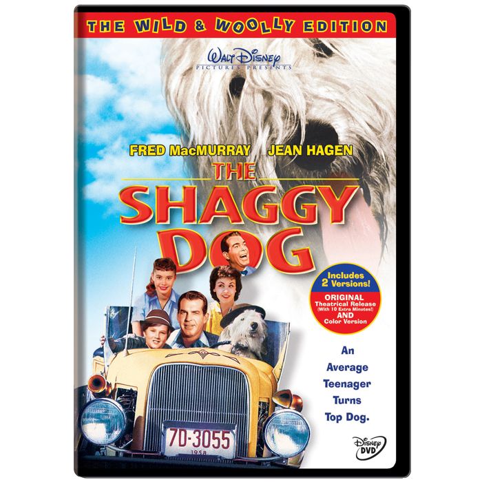 The Shaggy Dog DVD