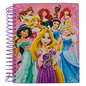 Disney Princess Stencil Activity Set
