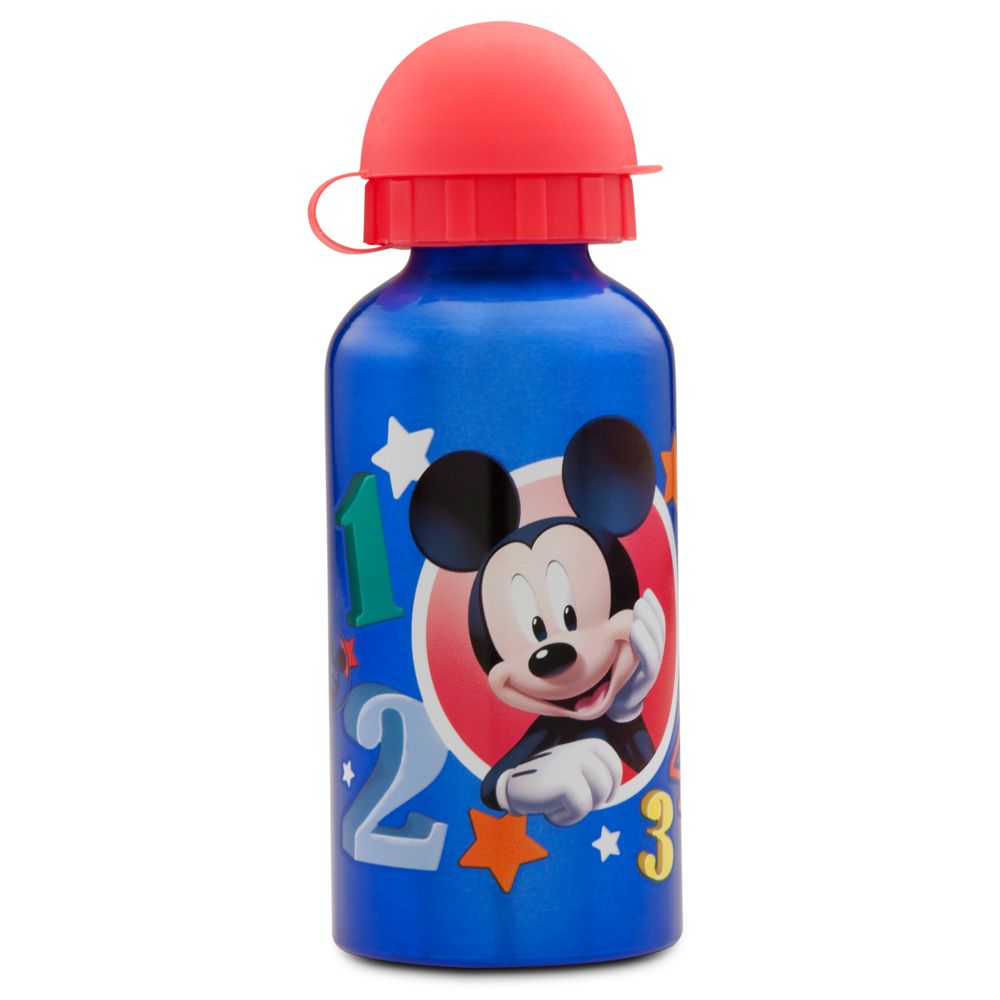 Aluminum Mickey Mouse Water Bottle -- Small
