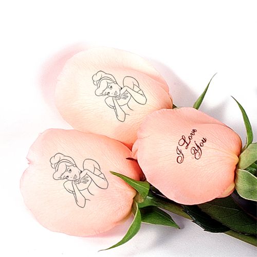 Cinderella Create-Your-Own Dozen Roses