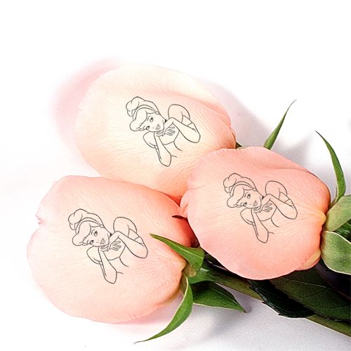 Cinderella Create-Your-Own Half-Dozen Roses