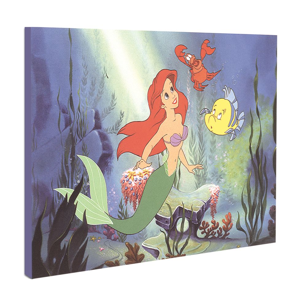 Ariel, Listen to Me Giclee on Canvas