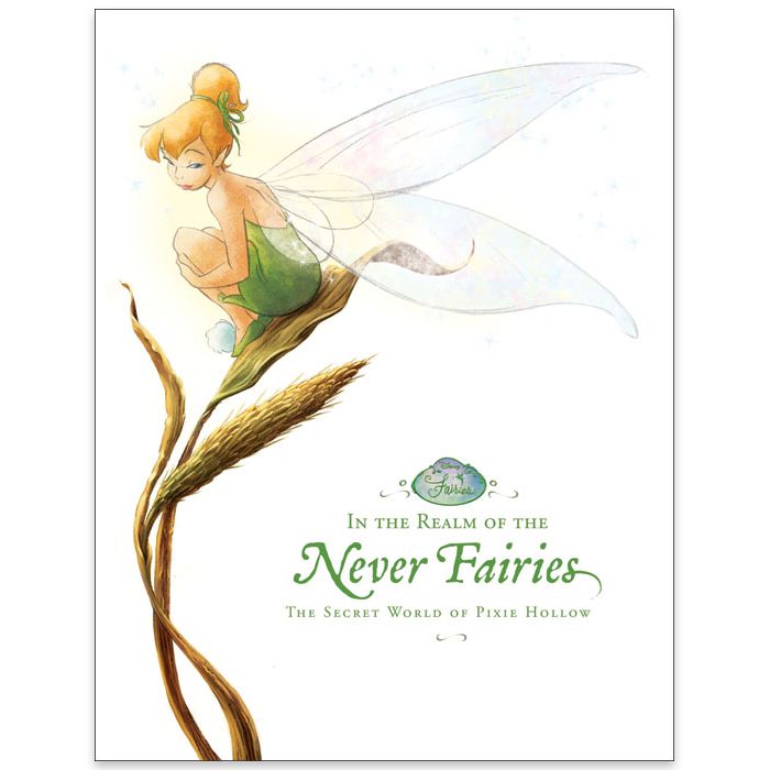 In the Realm of the Never Fairies: The Secret World of Pixie Hollow Book