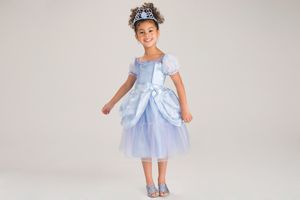 Princess Cinderella Costume Collection